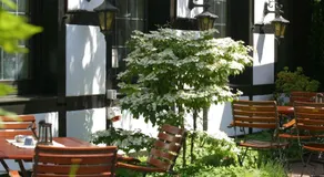 Hotel Vivendi - Image 4