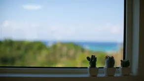 Irie House - Image 5
