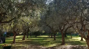 Bibi a Mare - Image 4