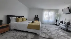 Portela ALR - Image 2
