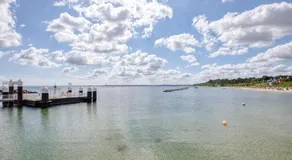 Seeschwalbe - Image 4