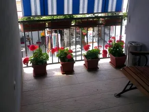 Maća i Ante Pavlović - Image 2