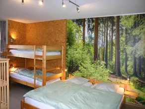 Home in Vielsalm with Sauna - Image 2