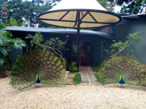 Azabu Retreat and Spa - Image 3