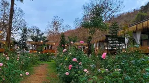 The Forest Camp Khao Yai - Image 2