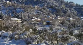Xenonas4seasons - Image 5