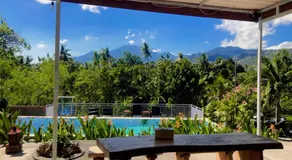 Eco Moringa Garden - Image 2