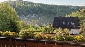 Pension Talblick Bad Grund - Image 4