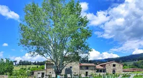 Agri Resort & SPA Le Colline del Paradiso - Image 4