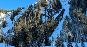 WEF Klosters Executive Apartment with Direct Train to Davos - Image 3