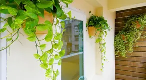 Hotel Color - Image 4