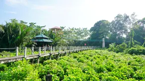 Inapan Tepi Sawah - Image 1