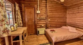 Pangeo forest village - Image 2