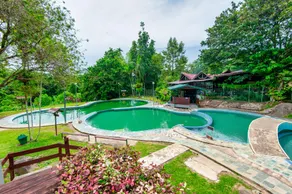 Sutera Sanctuary at Poring Hot Spring - Image 2