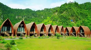 Woodstock Jungle Camp - Image 4