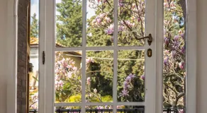 La Magnolia - Image 3