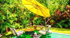 Entire luxurious gated House with front & backyard 10min drive to Miami beach  - Image 4