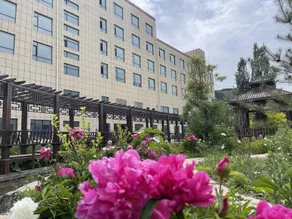 Dronizagulu Hotel - Image 2