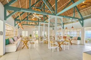 Tropical Attitude (Adults Only) - Image 3