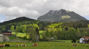 Sonnenkaiser - Image 4