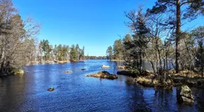 Nygård - Image 5