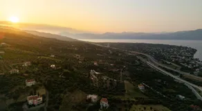 Elaia Retreat by Greece Apartments - Image 4