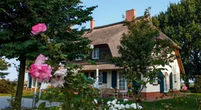 Rügen-Ferienhof - Image 5