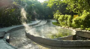 Hotel Felda Residence Hot Springs - Image 3