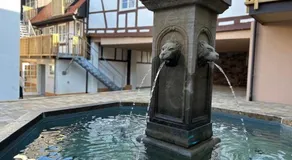 Hotel Kreuz Renchen - Image 5