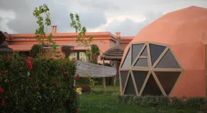 Bougainvilla Guesthouse - Image 4
