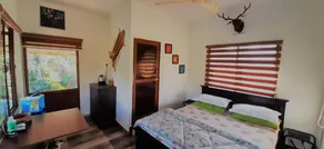 Noah's Nest Tree House - Image 2
