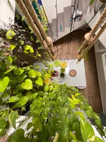 Bodhi garden villa in varkala - Image 2