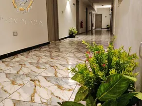 New Park Plaza Cairo - Image 2