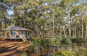 Pokolbin Glamping - Sleeps 6 Across 3 Eco-Friendly Glamping Tents - Image 5