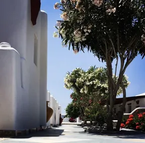Irene's Residence - Image 5
