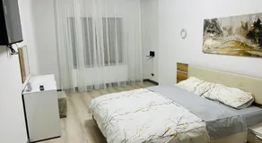 Casa Bradu - Image 4
