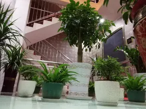 Fengjie Jinxuan Business Hotel - Image 2