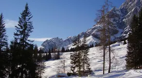 Appartmenthaus Hochkönig - Image 4