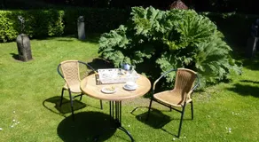 de zanderij - Image 3