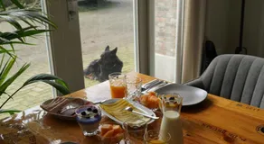 B&B de Smale - Image 5