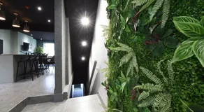 La Jungle Du Swan - Image 5