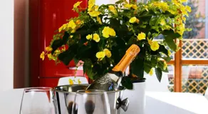 La Villa bed & breakfast - Image 5