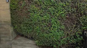 Oge's House - Image 3