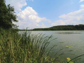 Blockhauser am Fahrsee, Templin - Image 3