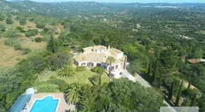 Monte-Bougainvillea - Image 3