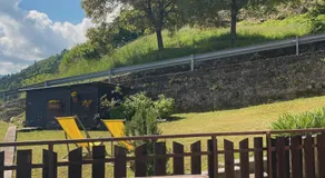 I profumi del bosco - Image 4