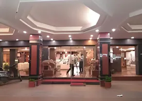 HOTEL MAHARAJA CLASSIC INN - Image 5