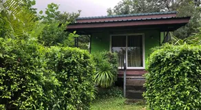 Kohpu garden - Image 3