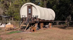Luxury Covered Wagon, Rooterville Animal Sanctuary - Image 5