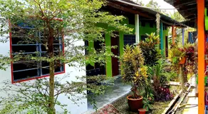 Tony’s Guesthouse at Teluk Bahang - Image 2